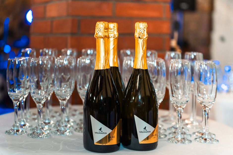 Loita Wine Glasses Reviewed: Top Picks for Every Budget